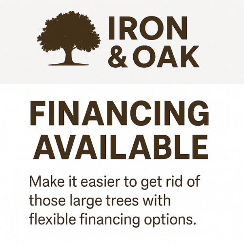 Finance a tree removaln in Minnesota