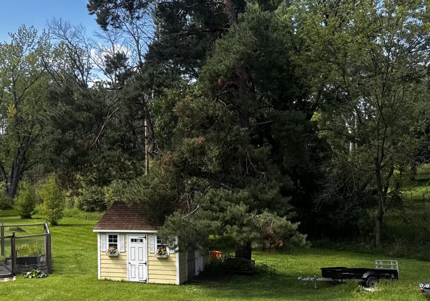 White Bear Lake Tree Service removing large tree near home