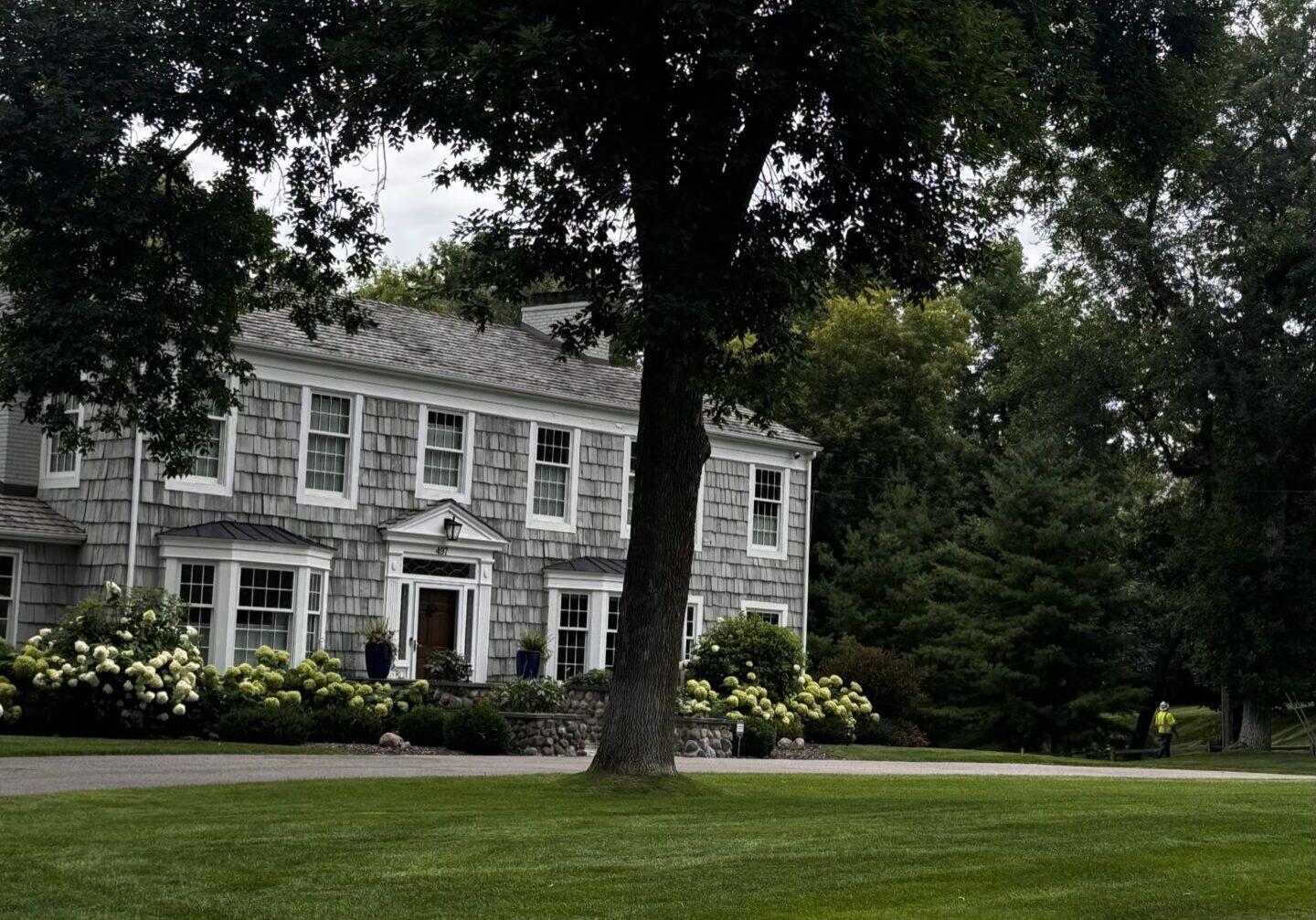 Eden Prairie Tree Service removing large tree near home