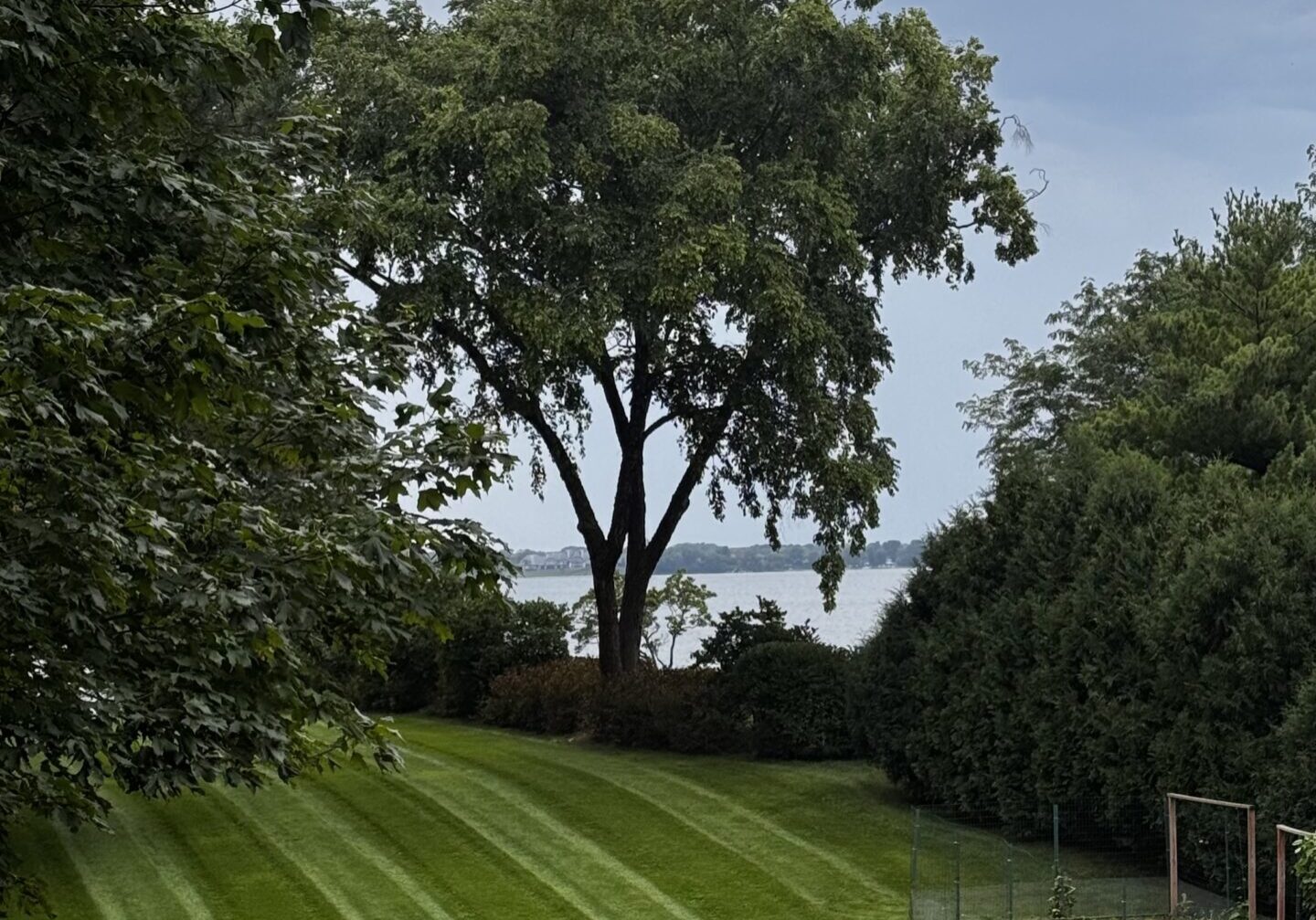 Minnetonka Tree Service removing large tree safely