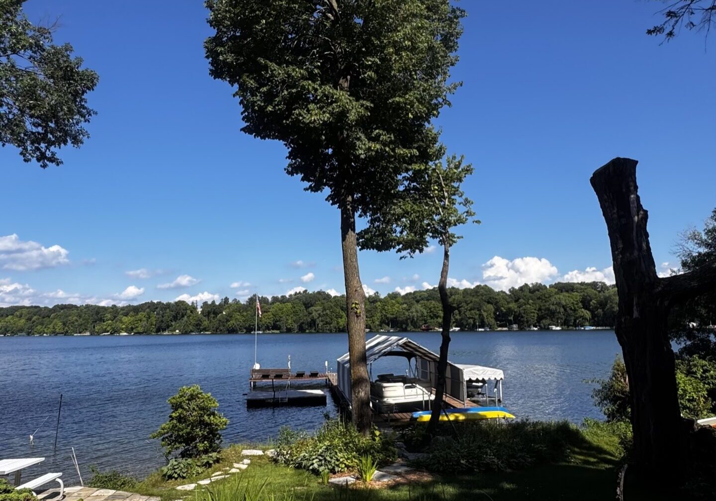 Savage Tree Service removing large oak tree safely