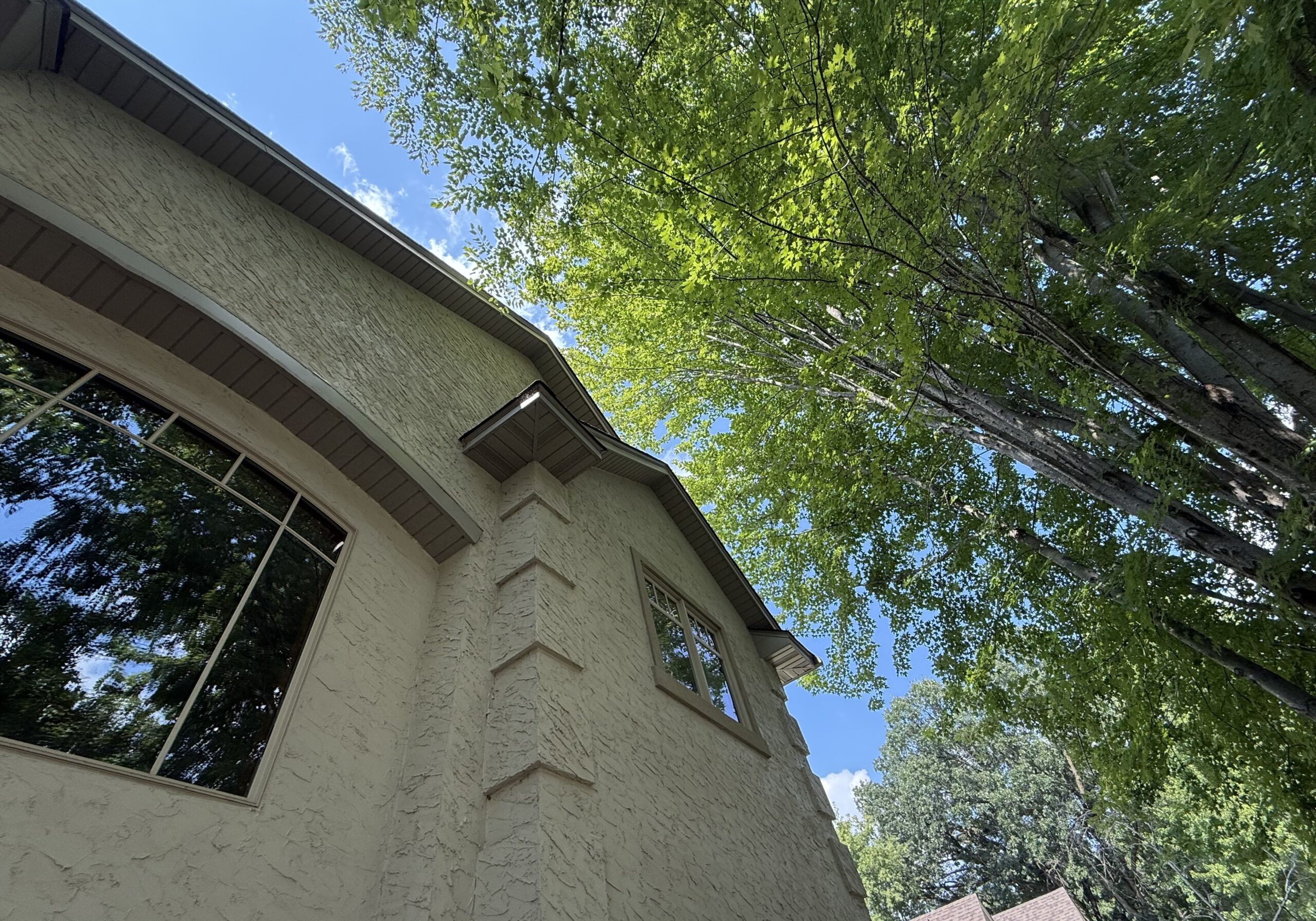 St. Paul Tree Service Company stump grinding residential yard