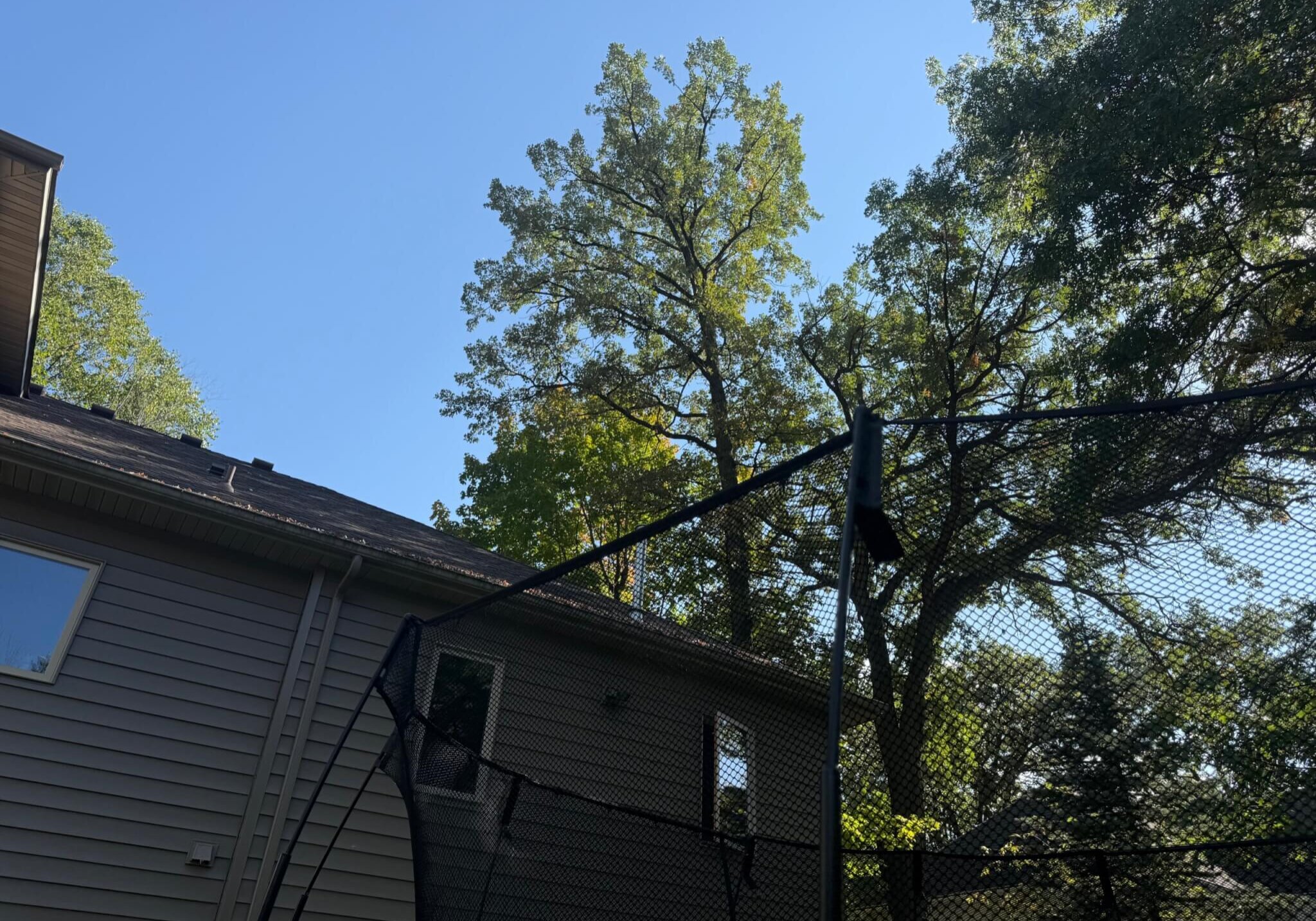 Watertown MN tree service removing large tree near home